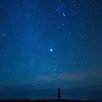 Humming In The Night