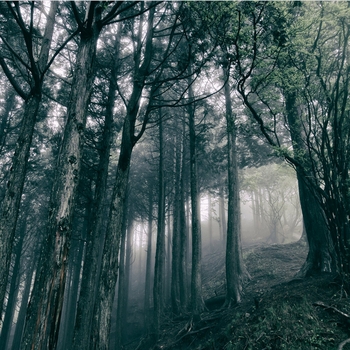 Kosemura: Inside River, Pt. 1