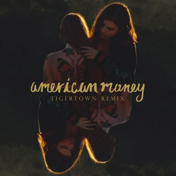 American Money (Tigertown Remix)