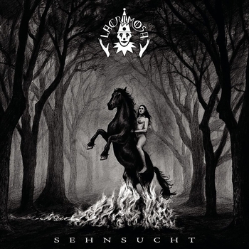 Die Sehnsucht In Mir