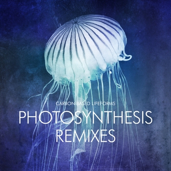 Photosynthesis (Live Version)