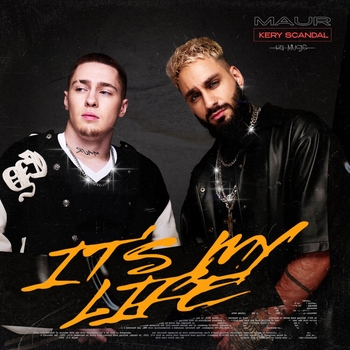 It's My Life (Silver Ace Remix)