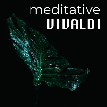 Vivaldi: Concerto for Strings in B Flat, R. 167 - 1. Allegro