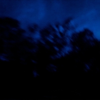 wasted (slowed + reverb)