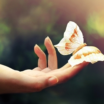 Butterfly (2010)