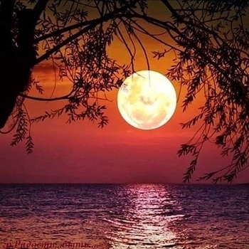 Sleeping Sun (2019)
