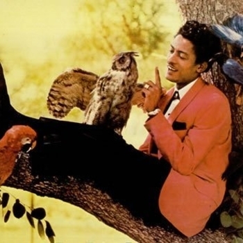 Rockin Robin (1958)