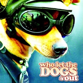Who Let The Dogs Out (2017)