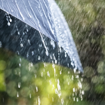 Rain Is Falling (2017)