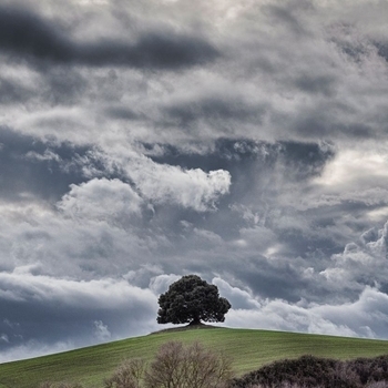 Cloudy Day (2019)