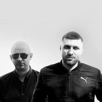 Птица (2021)