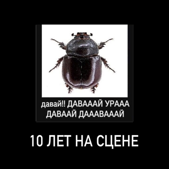 10 лет на сцене