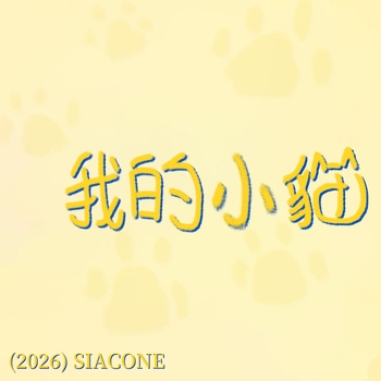 我的小貓