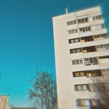 Чувства