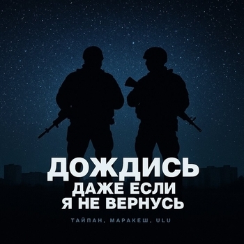 Дождись, даже если я не вернусь