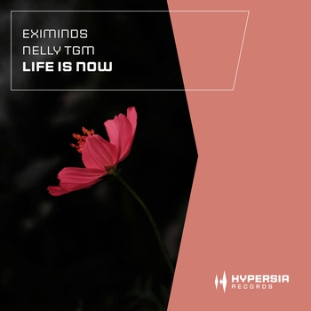 Life Is Now