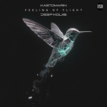 Feeling of Flight