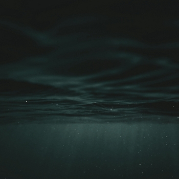 a place I've never been