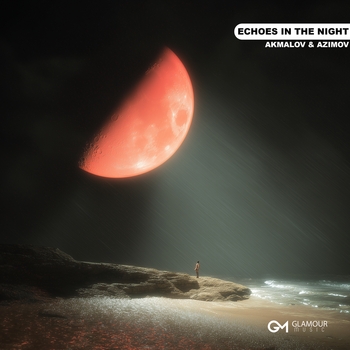 Echoes In The Night