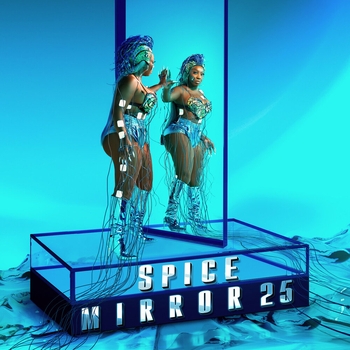 Price Tag (Mirror 25. 2024)