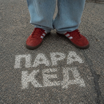 Пара кед
