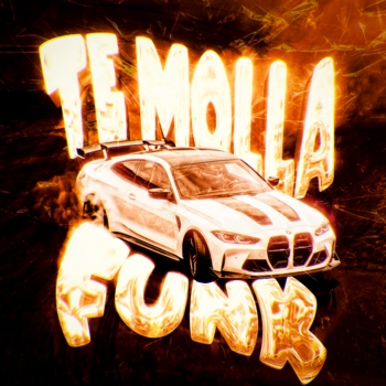 TE MOLLA FUNK