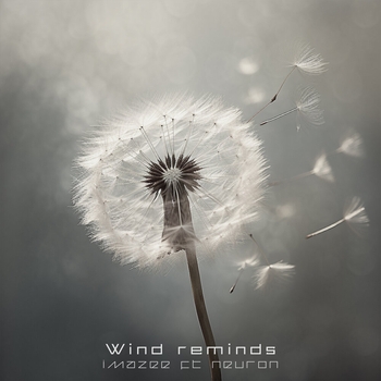 Wind Reminds